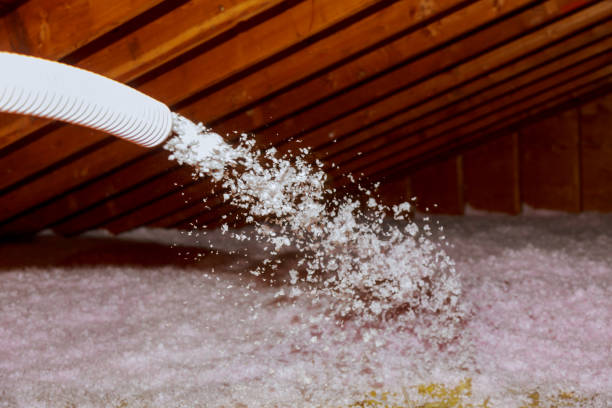 Best Insulation Removal  in Central Islip, NY